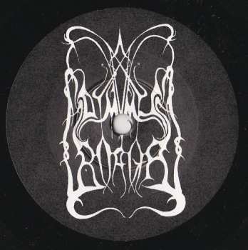 LP/SP Dimmu Borgir: Stormblåst