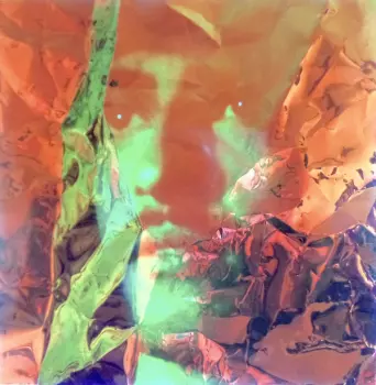 Searching For Dimorphodons