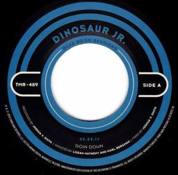 SP Dinosaur Jr.: Blue Room Sessions