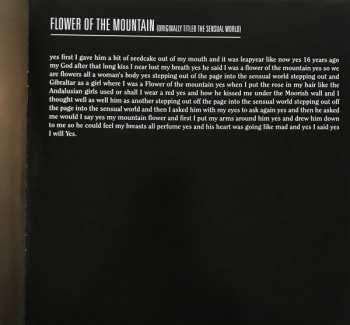 2LP Kate Bush: Director's Cut