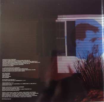 LP Dirty Projectors: Bitte Orca
