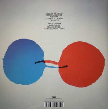 LP Dirty Projectors: Bitte Orca