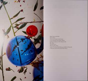 LP Dirty Projectors: Lamp Lit Prose LTD | CLR