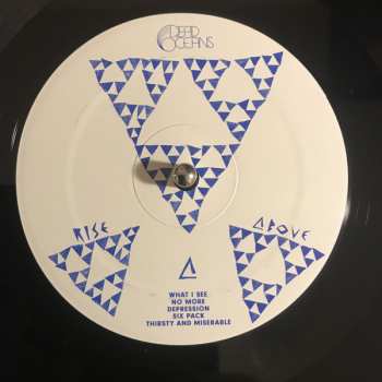 LP Dirty Projectors: Rise Above