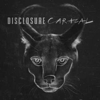 2LP Disclosure: Caracal