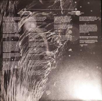 2LP Disillusion: Ayam CLR | LTD