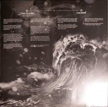 2LP Disillusion: Ayam CLR | LTD