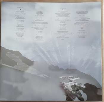 2LP Disillusion: The Liberation
