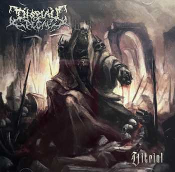 Album Display Of Decay: Vitriol