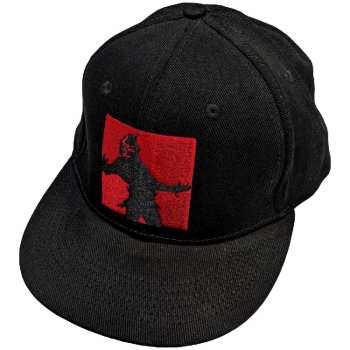 Merch Disturbed: Pet met klep Evolution