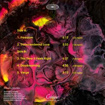 LP DJ Hoshino: Transcendental Love