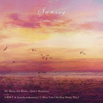 Haruka Nakamura: Quiet Moments / I Miss You (Mellow Beats Mix)