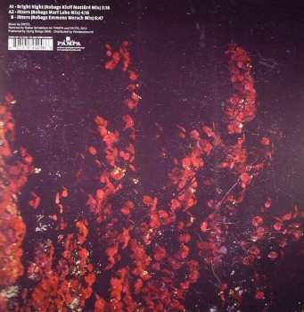 LP Dntel: The Robag Wruhme Remixes