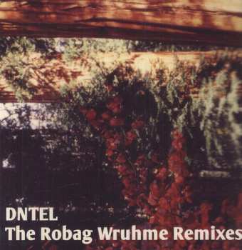 Album Dntel: The Robag Wruhme Remixes