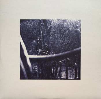 2LP Do Make Say Think: Do Make Say Think