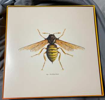 10LP/Doos Doctor Who: Hornets' Nest CLR | LTD