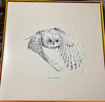 10LP/Doos Doctor Who: Hornets' Nest CLR | LTD