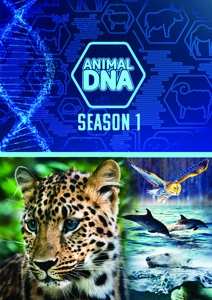 DVD Documentary: Animal Dna: Season One
