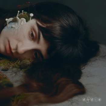Album Dodie: Not For Lack Of Trying