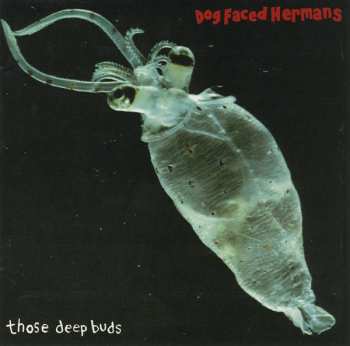 CD Dog Faced Hermans: Live Forever