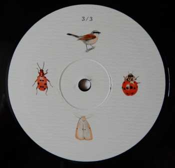 3LP Dominik Eulberg: Mannigfaltig