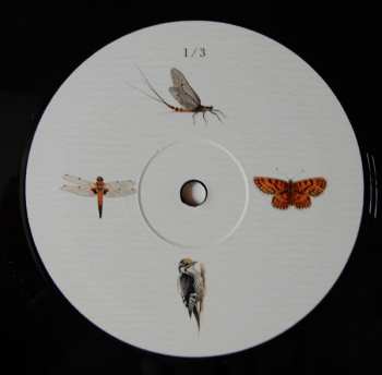 3LP Dominik Eulberg: Mannigfaltig
