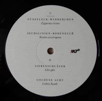 3LP Dominik Eulberg: Mannigfaltig