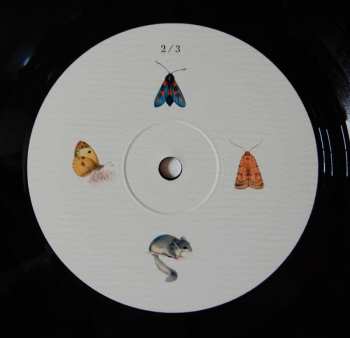 3LP Dominik Eulberg: Mannigfaltig