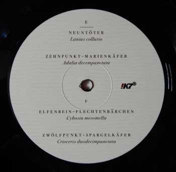 3LP Dominik Eulberg: Mannigfaltig