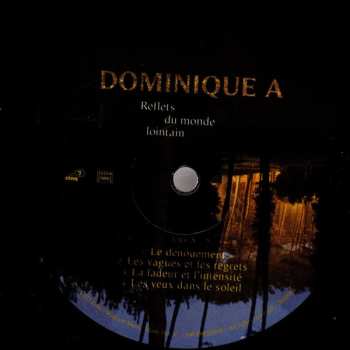 LP Dominique A.: Reflets Du Monde Lointain