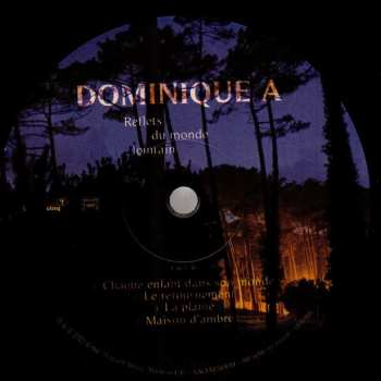 LP Dominique A.: Reflets Du Monde Lointain