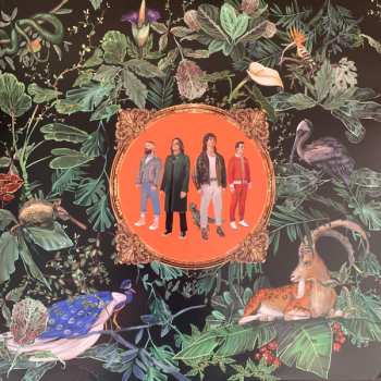 LP Don Broco: Amazing Things LTD | CLR
