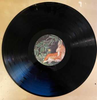 LP Don Broco: Amazing Things LTD