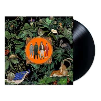 LP Don Broco: Amazing Things LTD