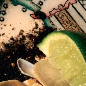 Album Donato Dozzy: Donato Dozzy Plays Bee Mask
