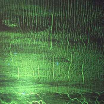 Album Donato Dozzy: K
