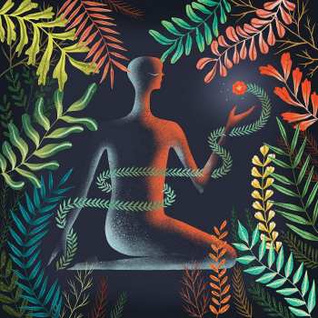 CD Loma: Don't Shy Away