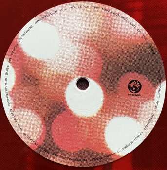 LP Dora Morelenbaum: Pique CLR | LTD