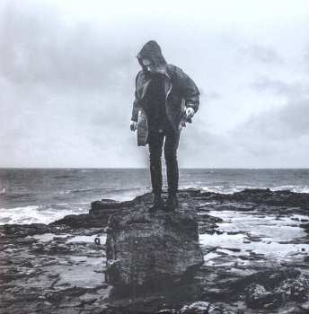 LP Douglas Dare: Whelm LTD