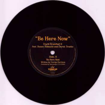 SP Doyle Bramhall II: Be Here Now