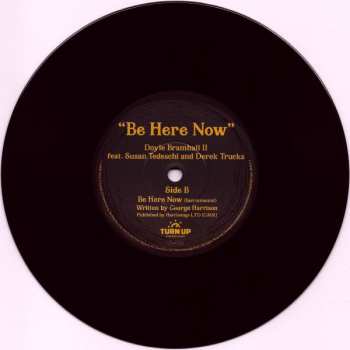 SP Doyle Bramhall II: Be Here Now