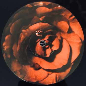 LP Drangsal: Harieschaim