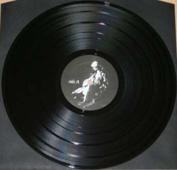 LP Drudkh: Лебединий Шлях = The Swan Road