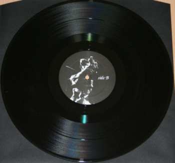 LP Drudkh: Лебединий Шлях = The Swan Road