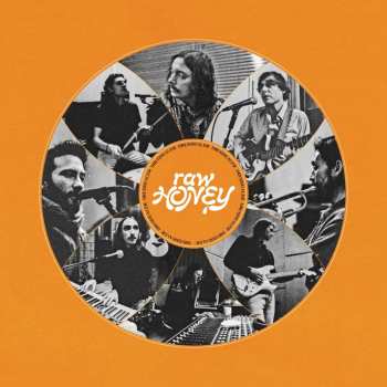 Album Drugdealer: Raw Honey