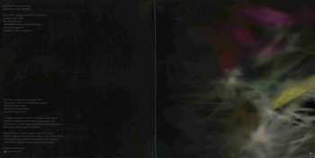 LP Duane Pitre: Feel Free: Live At Cafe OTO CLR