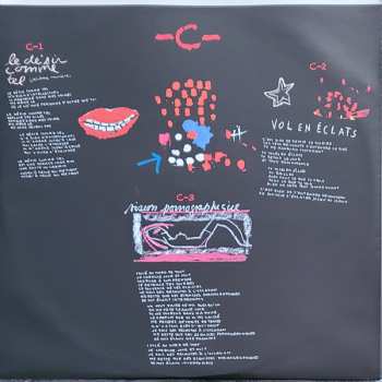 2LP Dumas: Le Cours Des Jours LTD | CLR