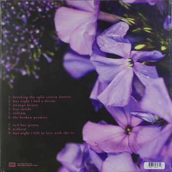 LP Dumb Numbers: Dumb Numbers