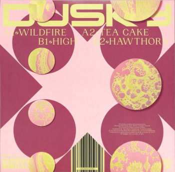 LP Dusky: Life Signs Vol. 3