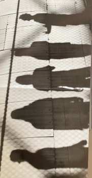 CD Dusted Angel: Earth-Sick Mind